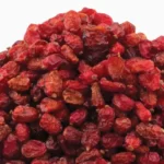 dried barberry background