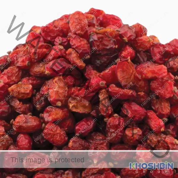 dried barberry background