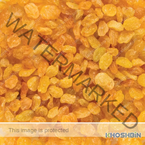 golden raisins background