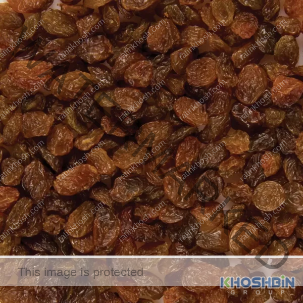 Thompson raisins background