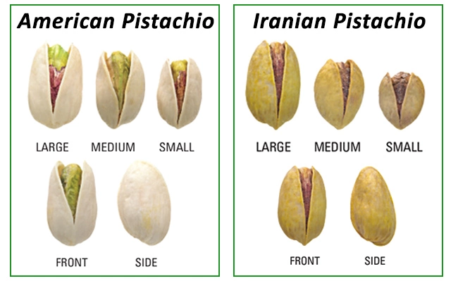 American pistachio vs. Iranian pistachio