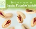 Iranian Pistachios Varieties and 6 Advantages