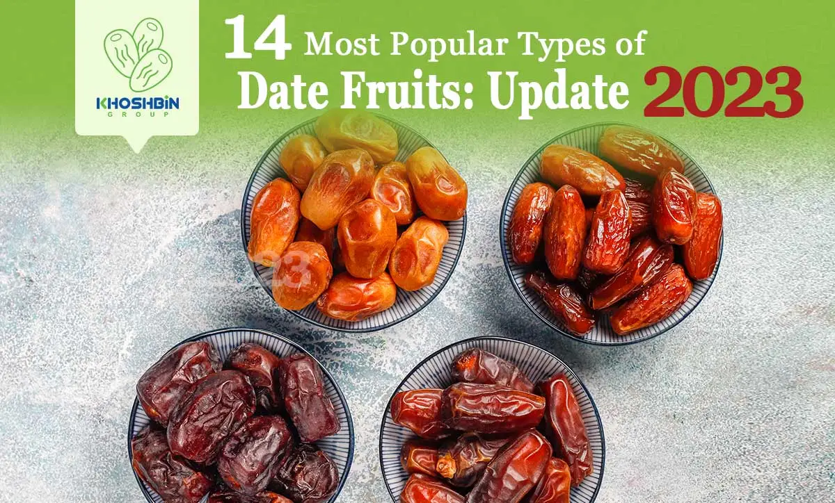 14 Most Popular Types Of Date Fruits 2023 Update, 46 OFF