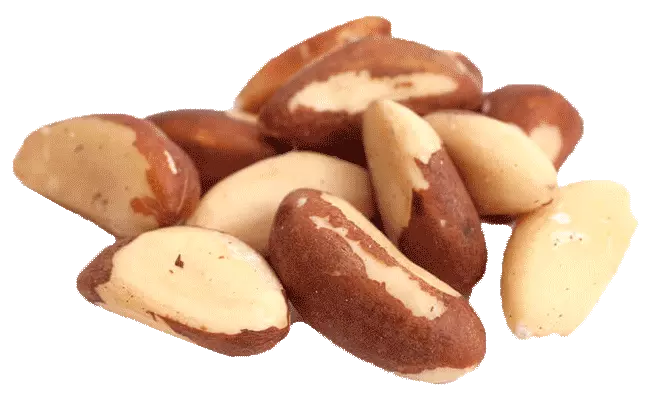 Brazil Nuts