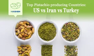 Top Pistachio Producing Countries: US vs Iran vs Turkey