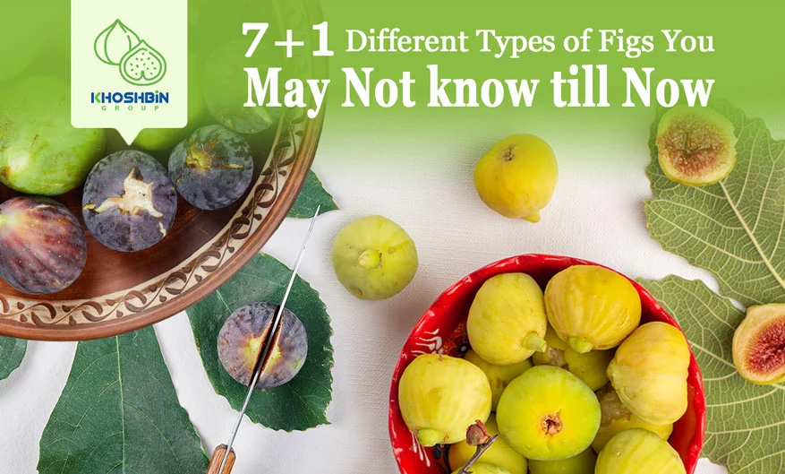 Apricot vs Fig: What is the difference?
