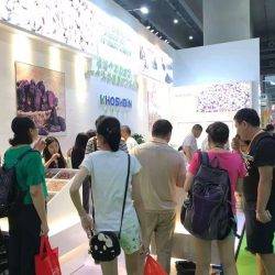 Khoshbin Group In Exhibition |