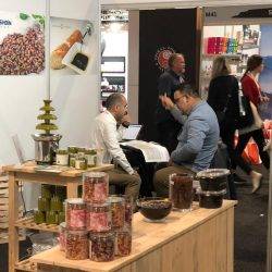 Khoshbin Group In Exhibition |