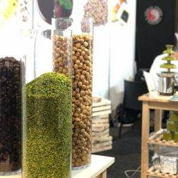 Khoshbin Group In Exhibition |