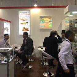Khoshbin Group In Exhibition |