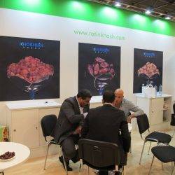 Khoshbin Group In Exhibition |