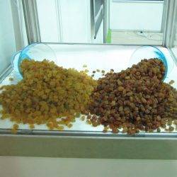 Khoshbin Group In Exhibition |