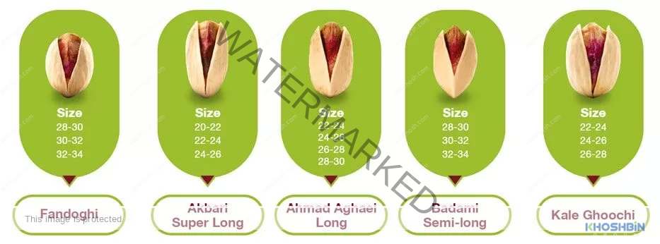 Pistachio Products | pistachio products