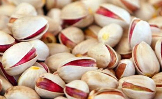 The picture shows a sample of Iranian Akbari (super long) pistachios.
