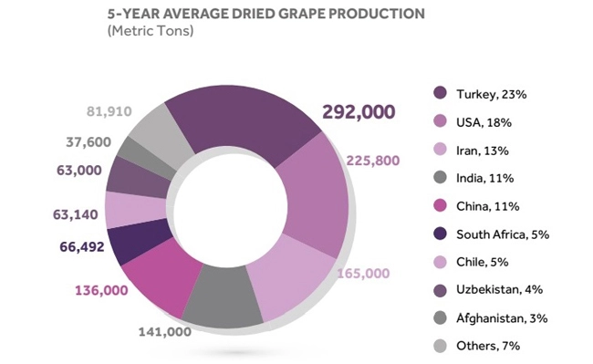 The pie charts give information about raisins’ production over a five-year period 