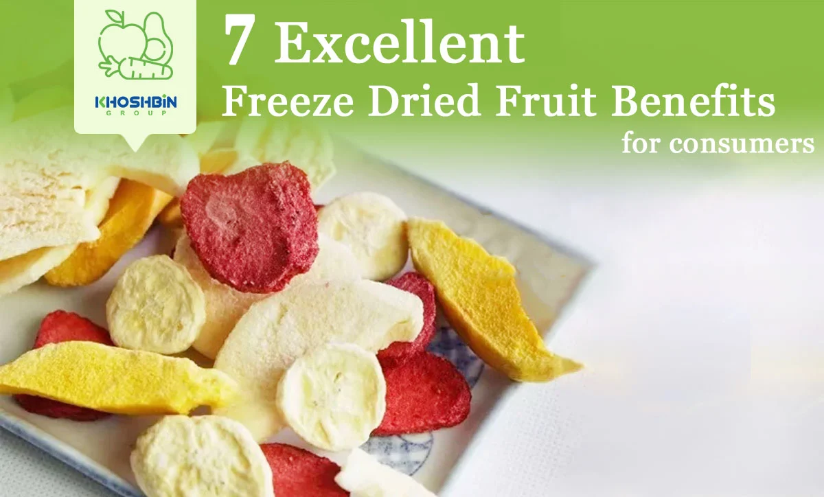Freeze-drying of food: definition, process and advantages