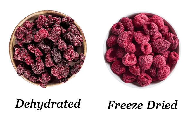 Freeze dried raspberries vs dehydrated raspberries appearances. Freeze dried fruits keep their structure. 