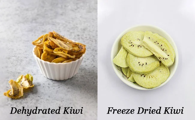 This picture compares the appearance of dehydrated kiwis with freeze dried kiwis. Dehydrated kiwis are shrunk, while freeze dried kiwis maintain their original size.