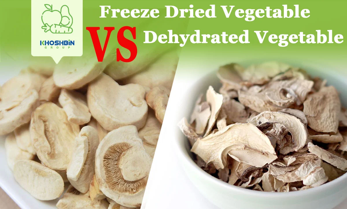 is freeze dried dog food better than dehydrated