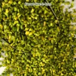 Green Chopped Pistachio (Granule/Diced) - Image 5