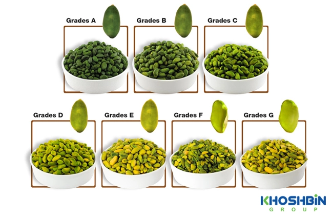 Green peeled pistachio kernel (green kernels) comes in various qualities and colors. Starting from A (or S for super), the quality (color intensity and intact kernels) reduces gradually through grade G of mostly broken pieces with green-yellow color.