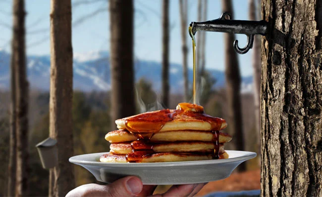 Date syrup vs maple syrup? Taste, Texture, and Health Benefits | Date syrup vs maple syrup