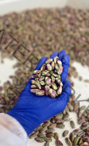 Types of Iranian Pistachios